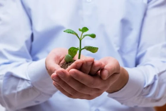 環境マネジメント